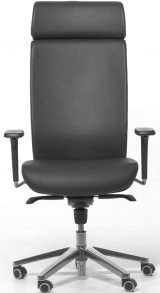 Profoffice Ronan W
