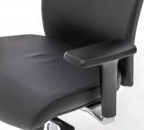 Profoffice Ronan W